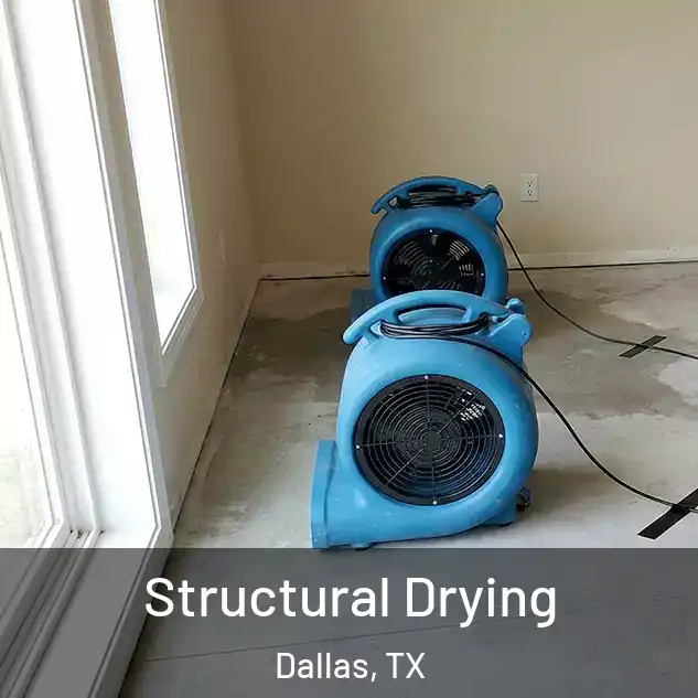  Structural Drying Dallas, TX