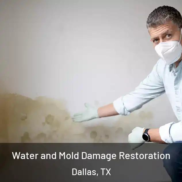  Water and Mold Damage Restoration Dallas, TX