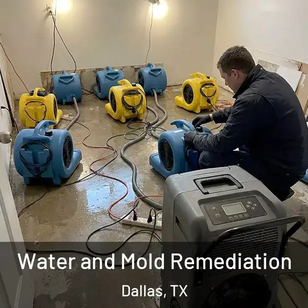  Water and Mold Remediation Dallas, TX