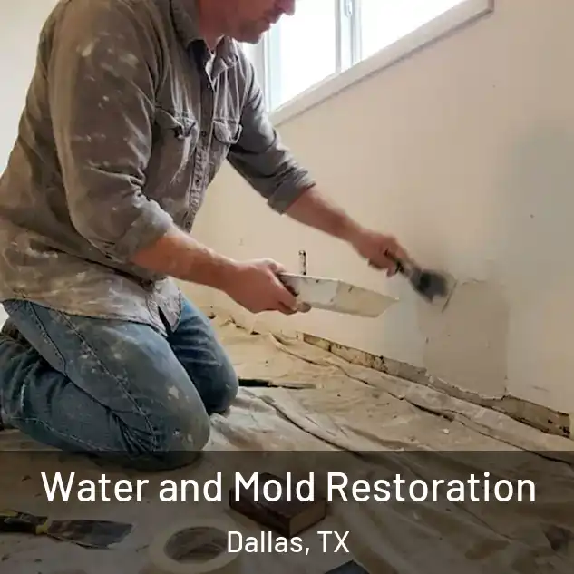  Water and Mold Restoration Dallas, TX