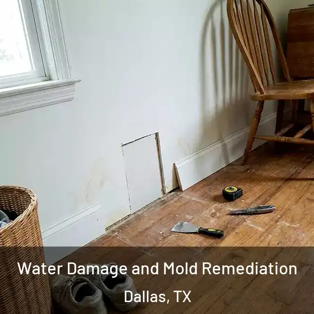  Water Damage and Mold Remediation Dallas, TX