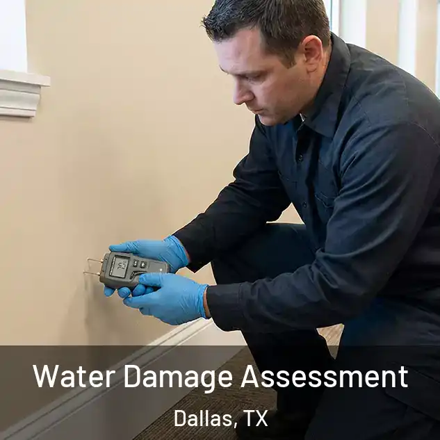  Water Damage Assessment Dallas, TX