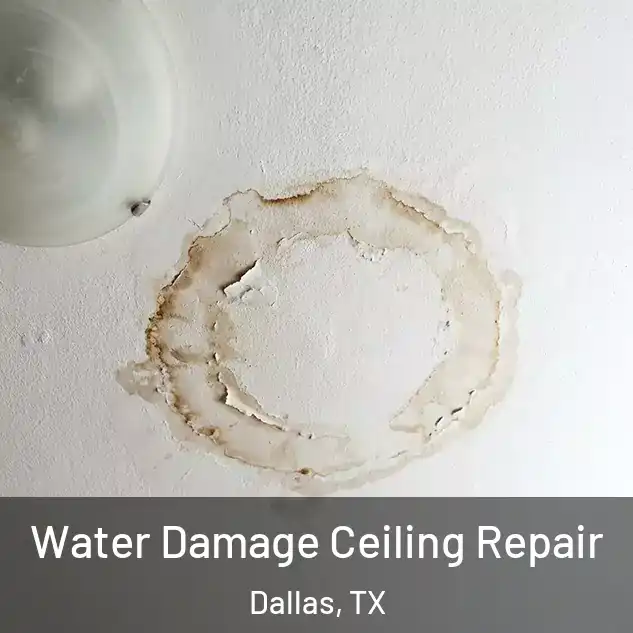  Water Damage Ceiling Repair Dallas, TX