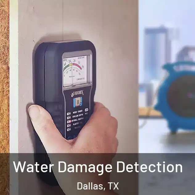  Water Damage Detection Dallas, TX