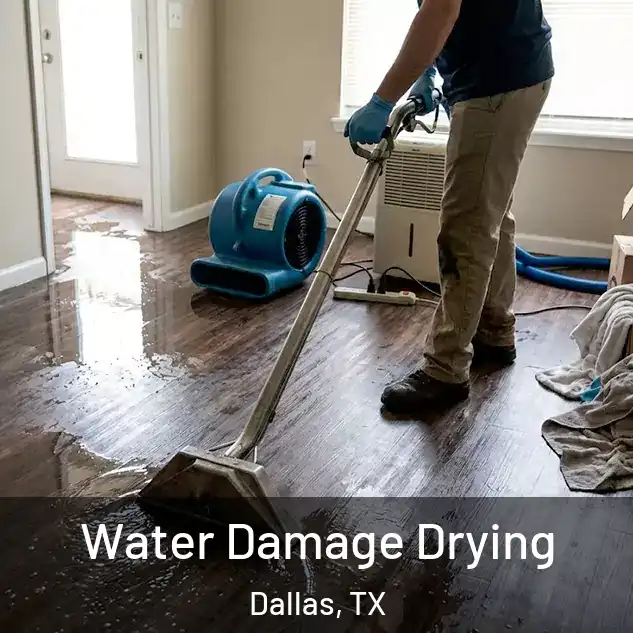  Water Damage Drying Dallas, TX