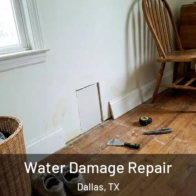  Water Damage Repair Dallas, TX