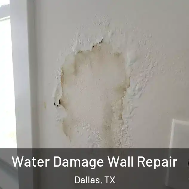  Water Damage Wall Repair Dallas, TX