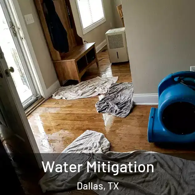  Water Mitigation Dallas, TX