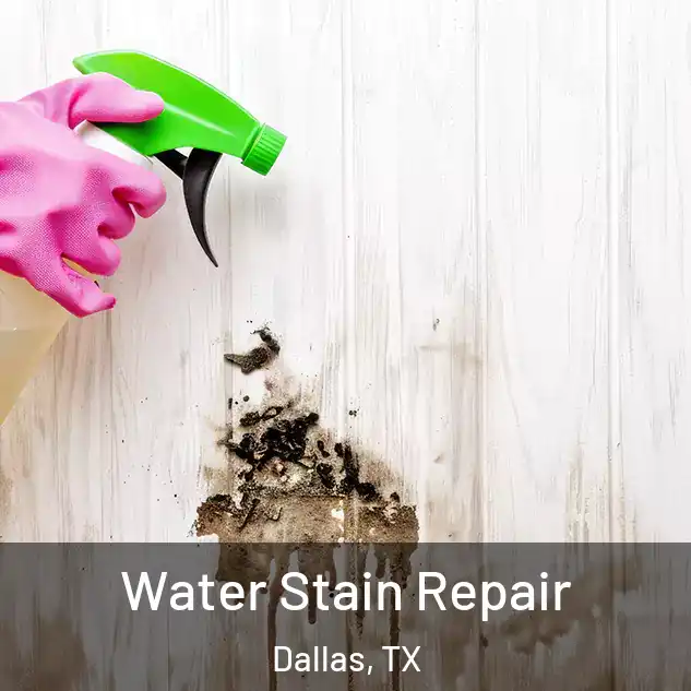  Water Stain Repair Dallas, TX