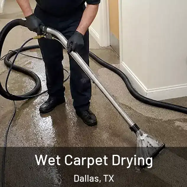  Wet Carpet Drying Dallas, TX