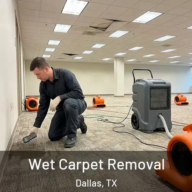  Wet Carpet Removal Dallas, TX