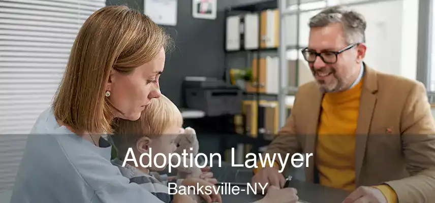  Adoption Lawyer Banksville-NY