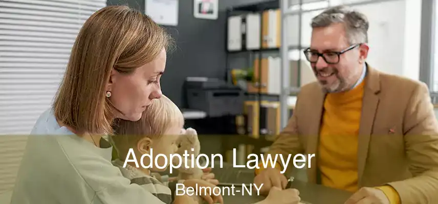 Adoption Lawyer Belmont-NY