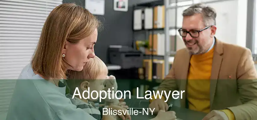Adoption Lawyer Blissville-NY