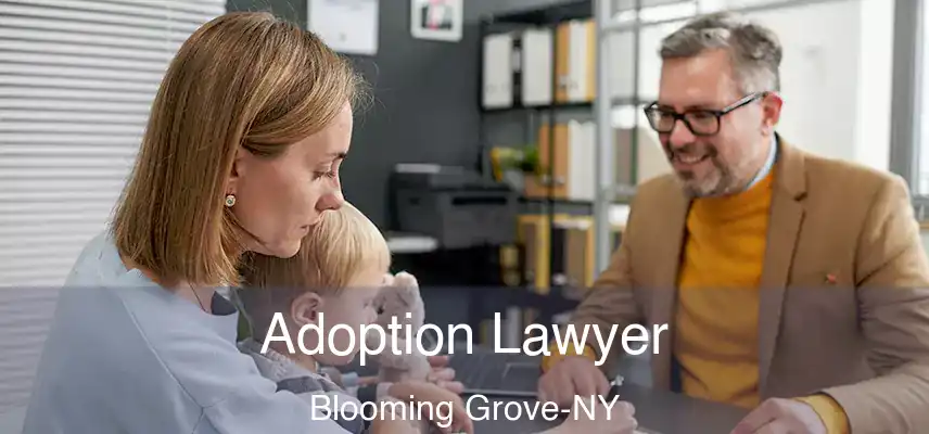  Adoption Lawyer Blooming Grove-NY