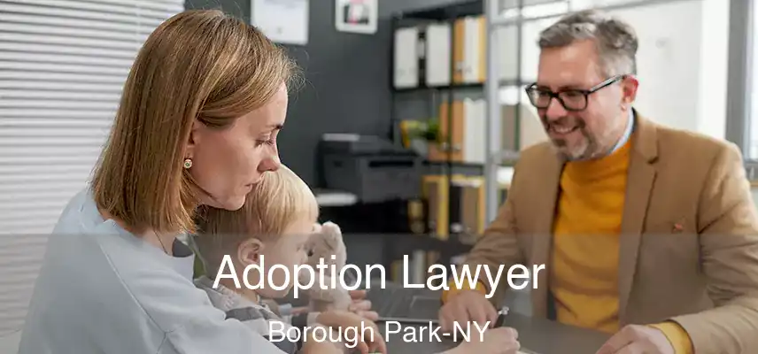  Adoption Lawyer Borough Park-NY