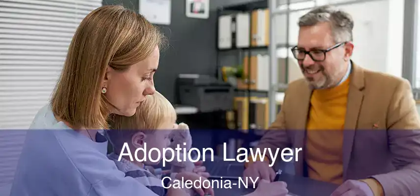 Adoption Lawyer Caledonia-NY