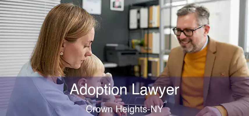  Adoption Lawyer Crown Heights-NY