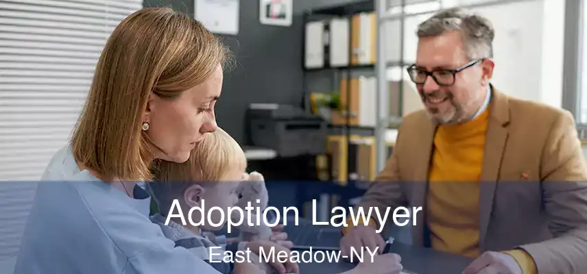  Adoption Lawyer East Meadow-NY
