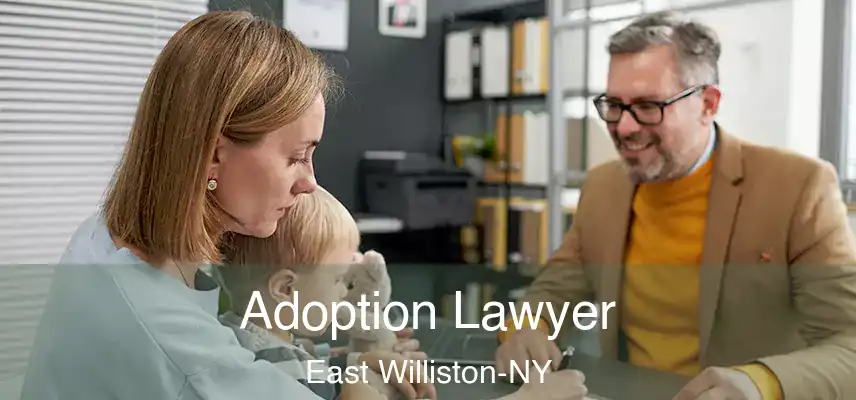 Adoption Lawyer East Williston-NY