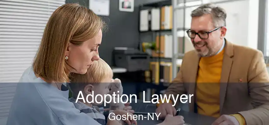 Adoption Lawyer Goshen-NY