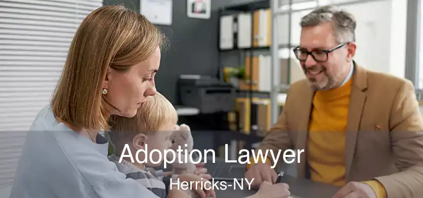  Adoption Lawyer Herricks-NY