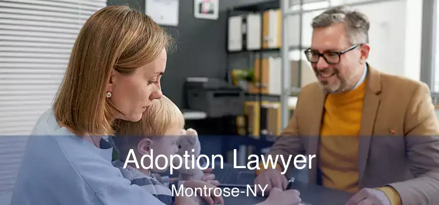 Adoption Lawyer Montrose-NY
