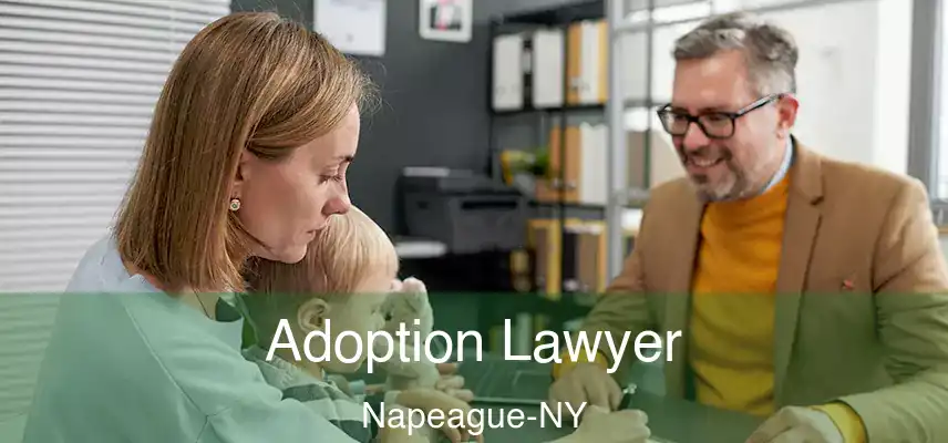 Adoption Lawyer Napeague-NY