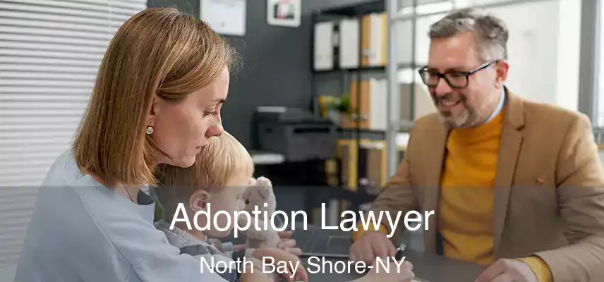  Adoption Lawyer North Bay Shore-NY