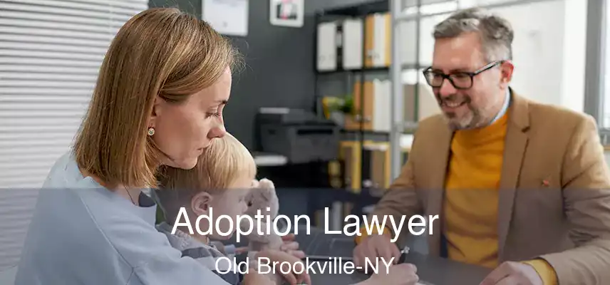 Adoption Lawyer Old Brookville-NY