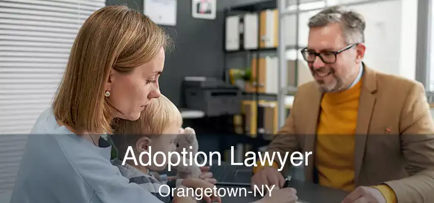  Adoption Lawyer Orangetown-NY