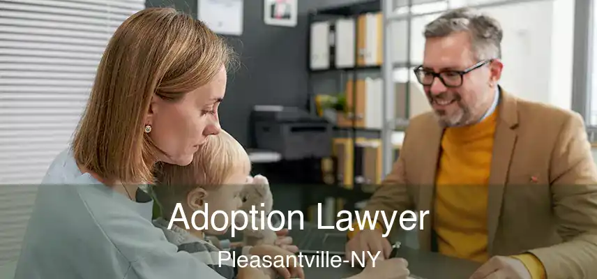  Adoption Lawyer Pleasantville-NY