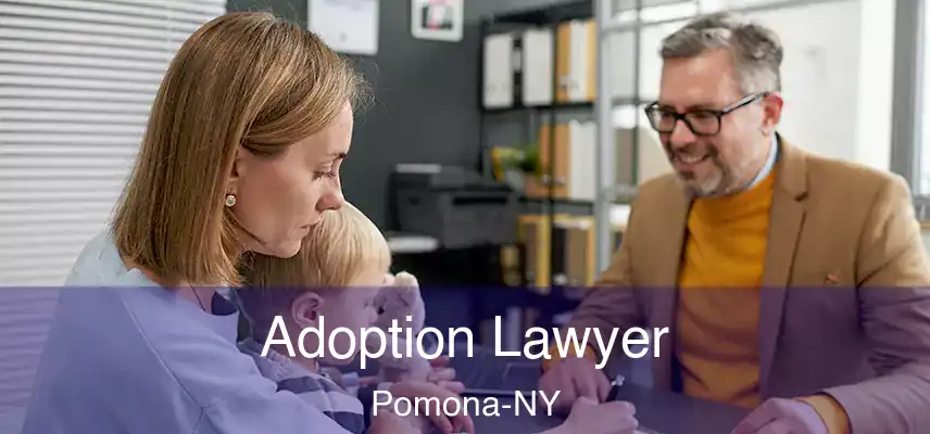  Adoption Lawyer Pomona-NY