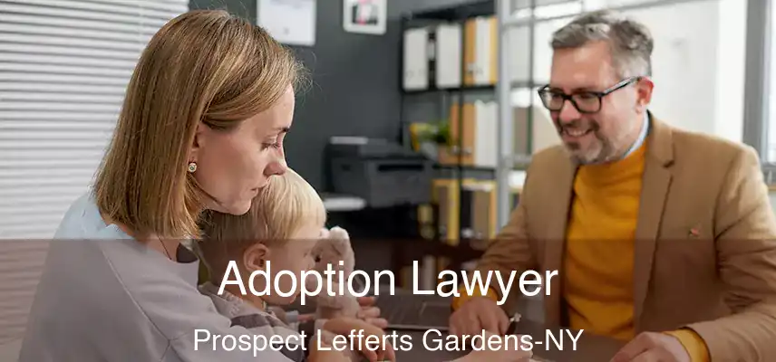  Adoption Lawyer Prospect Lefferts Gardens-NY