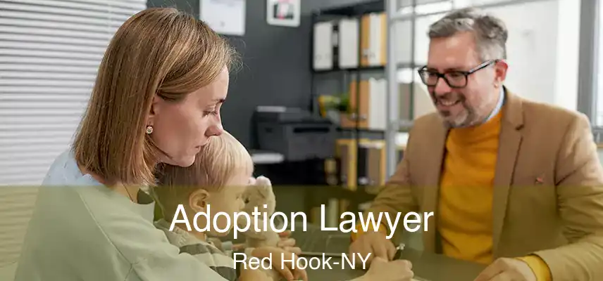  Adoption Lawyer Red Hook-NY