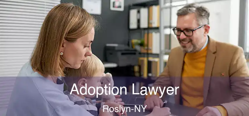  Adoption Lawyer Roslyn-NY