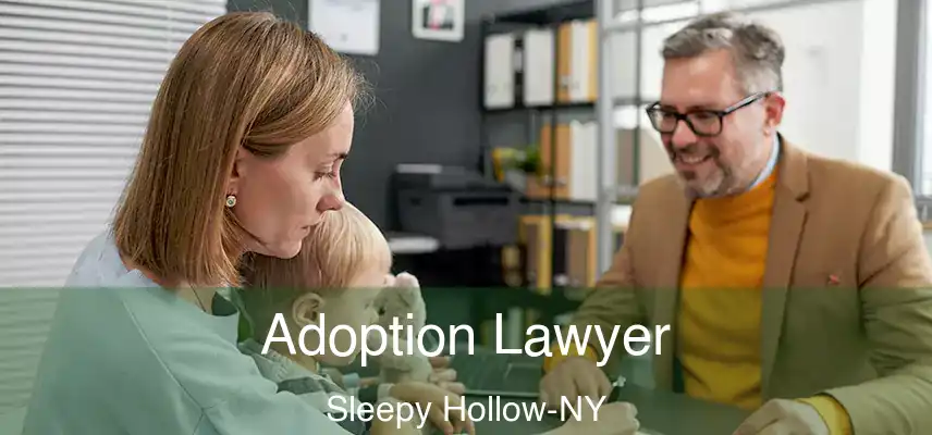  Adoption Lawyer Sleepy Hollow-NY