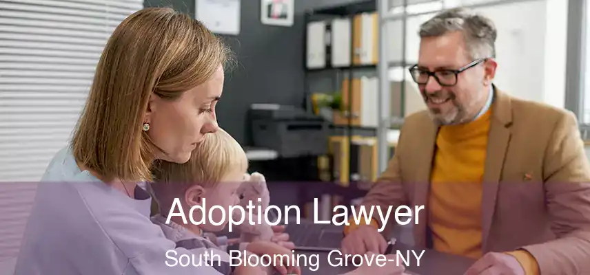  Adoption Lawyer South Blooming Grove-NY