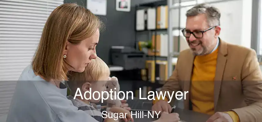  Adoption Lawyer Sugar Hill-NY