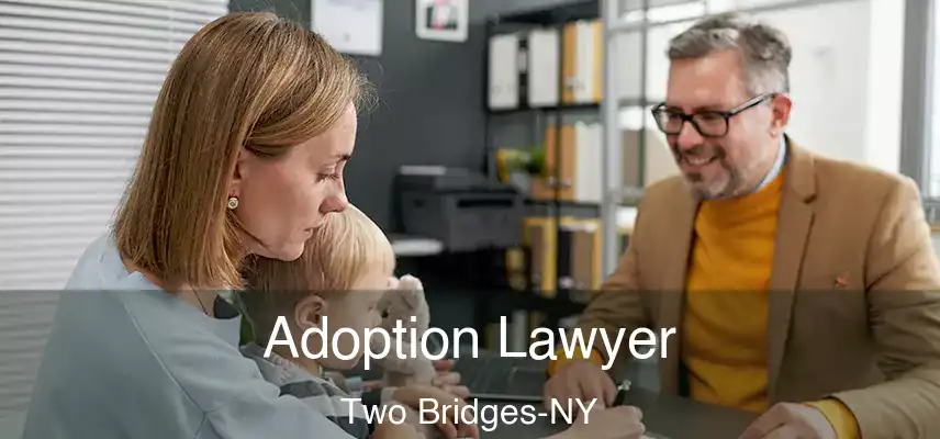  Adoption Lawyer Two Bridges-NY