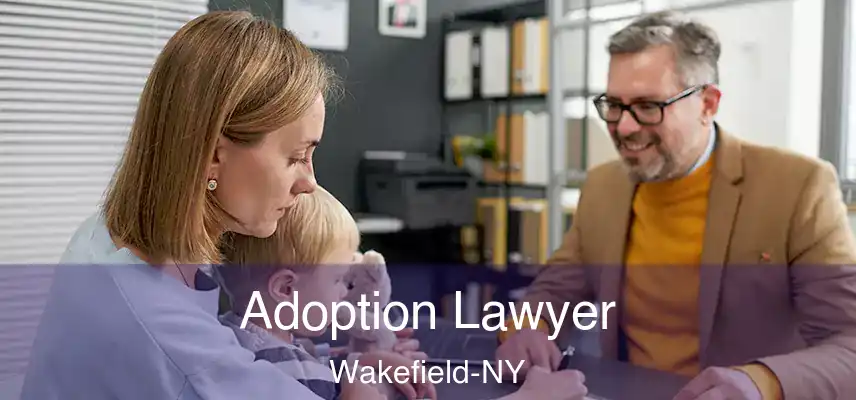 Adoption Lawyer Wakefield-NY