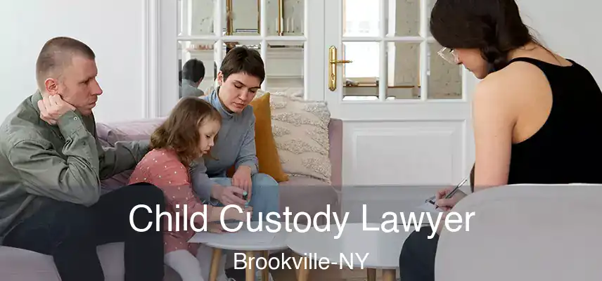  Child Custody Lawyer Brookville-NY