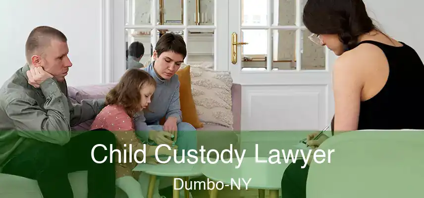  Child Custody Lawyer Dumbo-NY