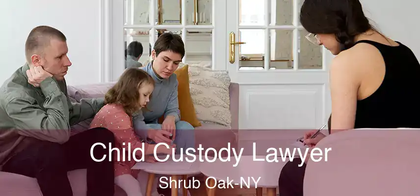  Child Custody Lawyer Shrub Oak-NY