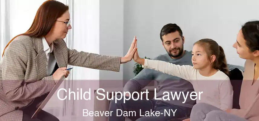  Child Support Lawyer Beaver Dam Lake-NY