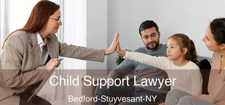  Child Support Lawyer Bedford-Stuyvesant-NY