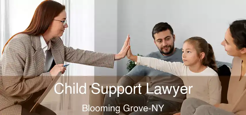  Child Support Lawyer Blooming Grove-NY