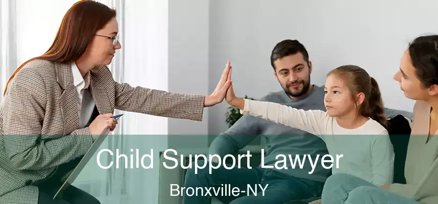  Child Support Lawyer Bronxville-NY