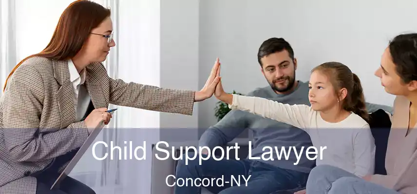  Child Support Lawyer Concord-NY