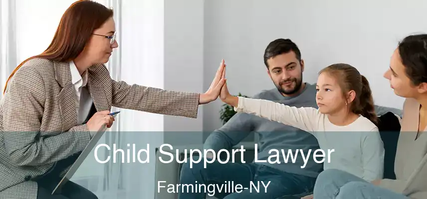  Child Support Lawyer Farmingville-NY